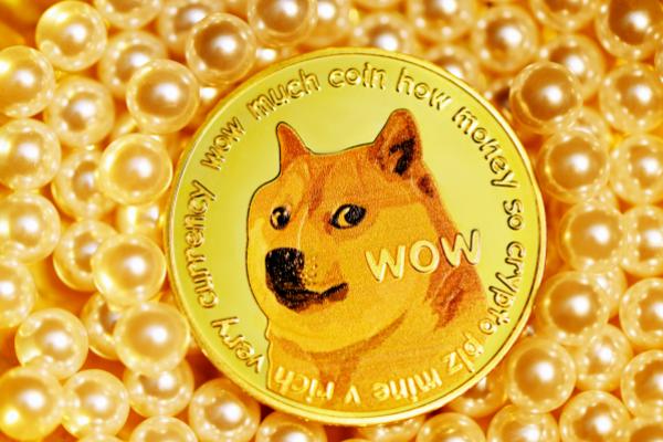 doge coin